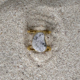 Earth Ring