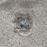 Earth Ring