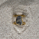 Earth Ring