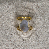 Earth Ring