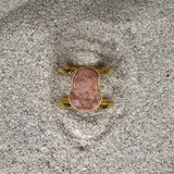 Earth Ring
