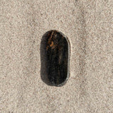 Tidal Pendant